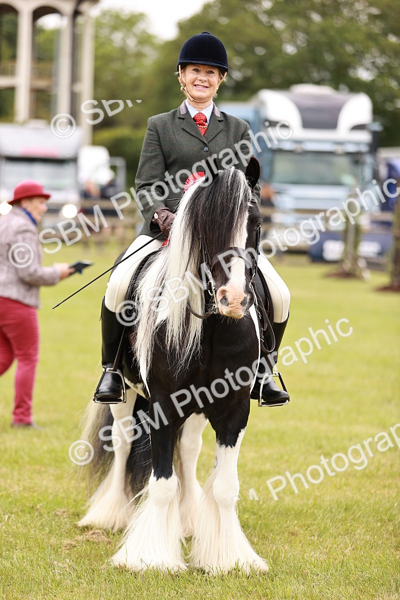 SBM_06239 - Class 39-41 TGCA In Hand and Ridden
