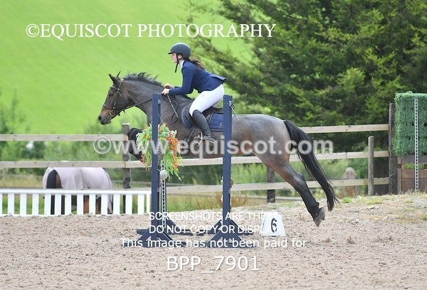 BPP_7901 - CLASS 5 Pony Discovery / 90cm Open