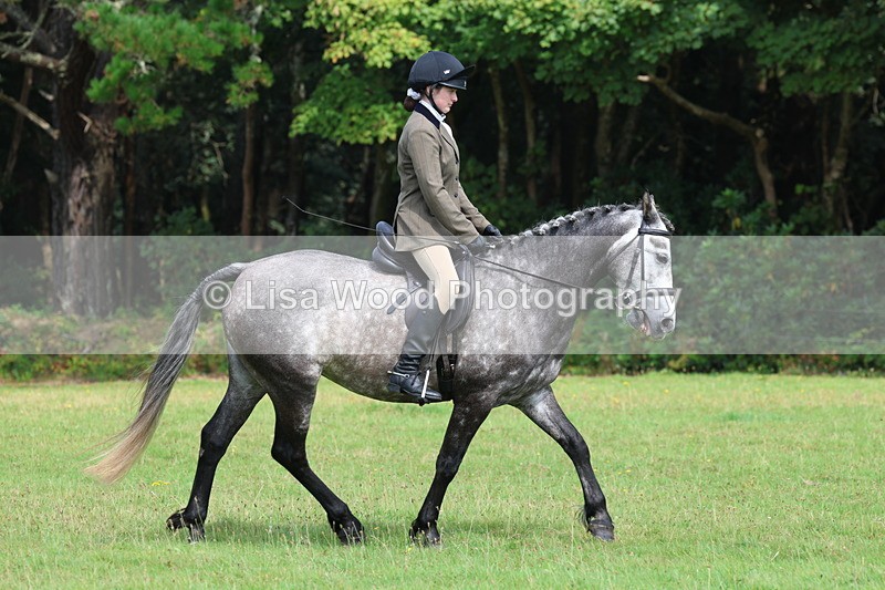 3E7A5985 - Class 28: 75cm Working Hunter