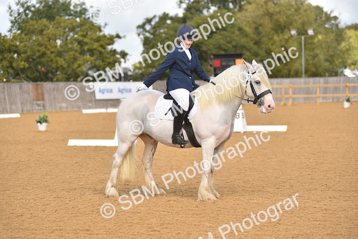 SBM_02967 - D4 - Small Tour Championship Intro 4