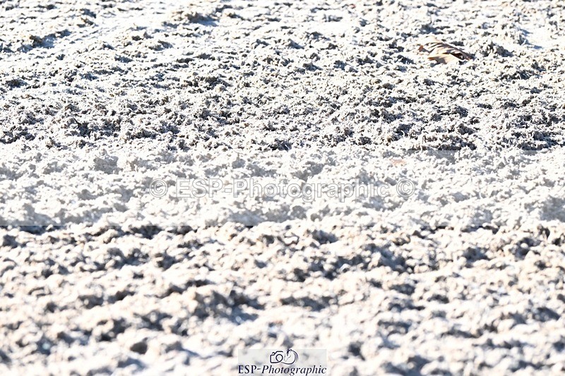 231110-102101-00062 - Cls 2 Prelim 17(a)Q