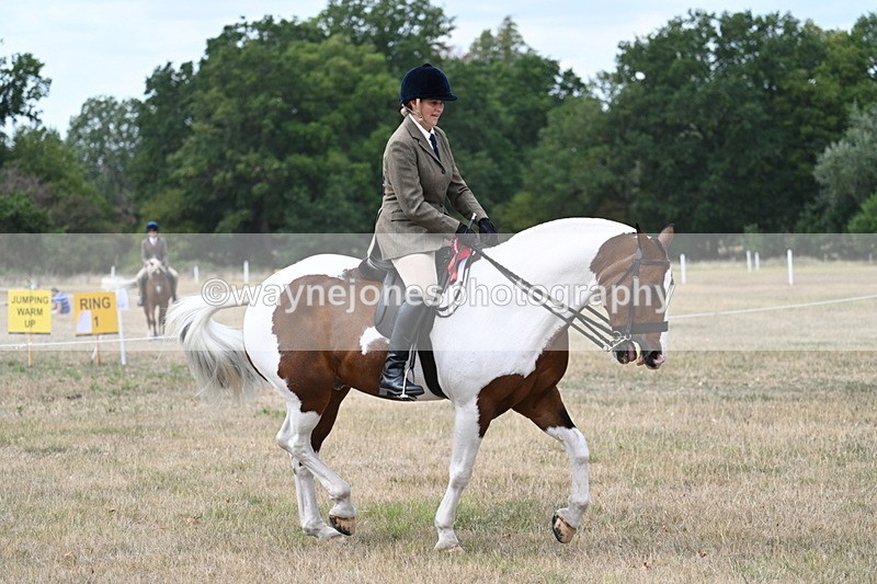 WJ7_5663 - Class 12 Ridden Cob