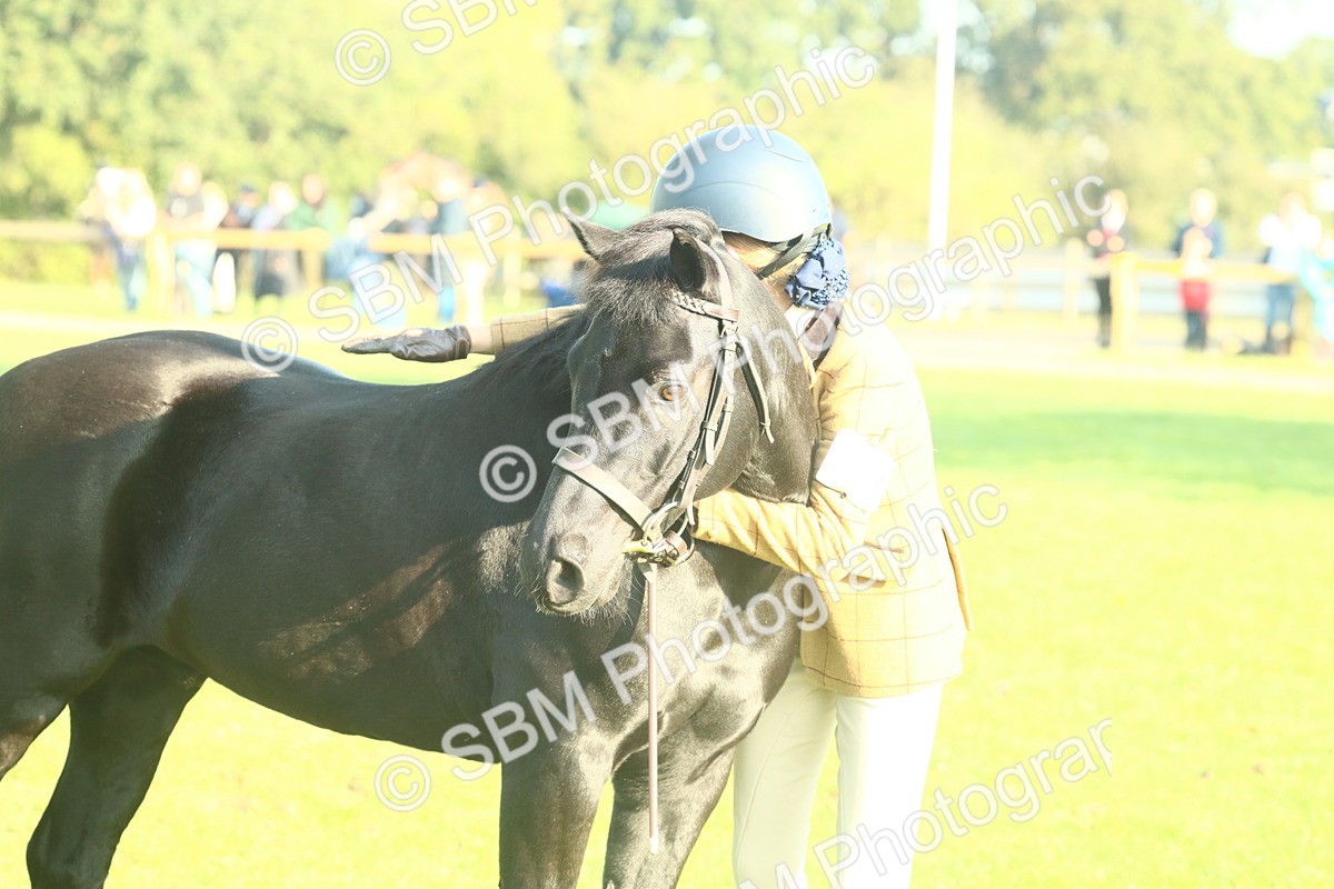 SBM_58448 - S37 - Starters In Hand Showing