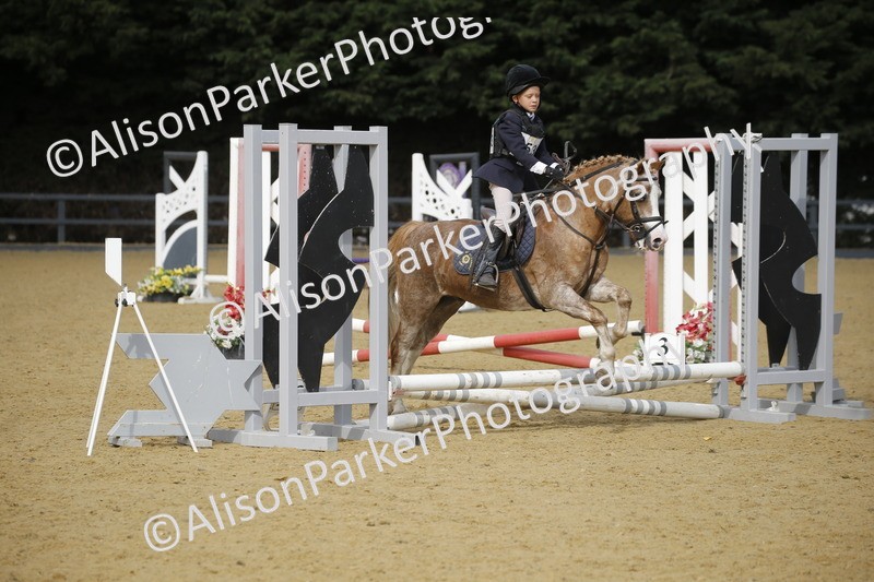 20250622-1568 - 40cm