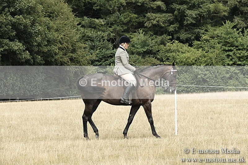 _PJP6083 - BVRC Show 2018 Ring 1