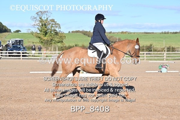 BPP_8408 - LONG ARENA