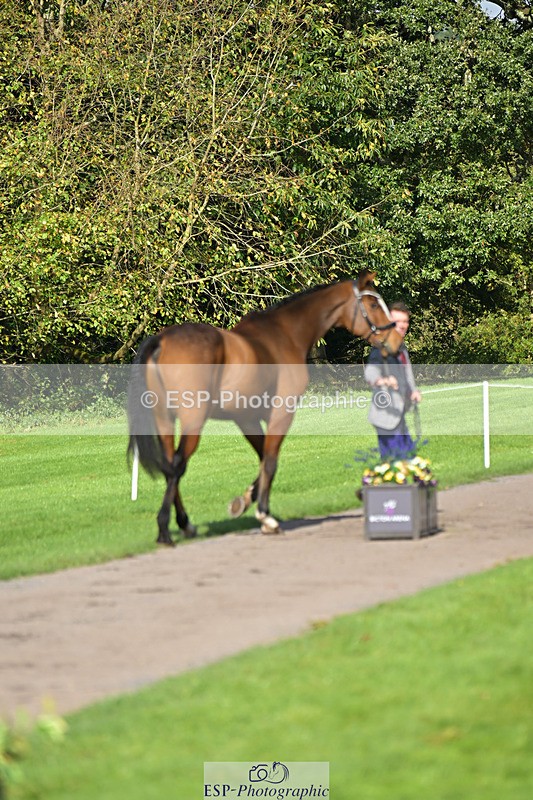 241023-130106-00017 - 013-Cameron.Beer-GREENLANES.LE.BAMBALOU