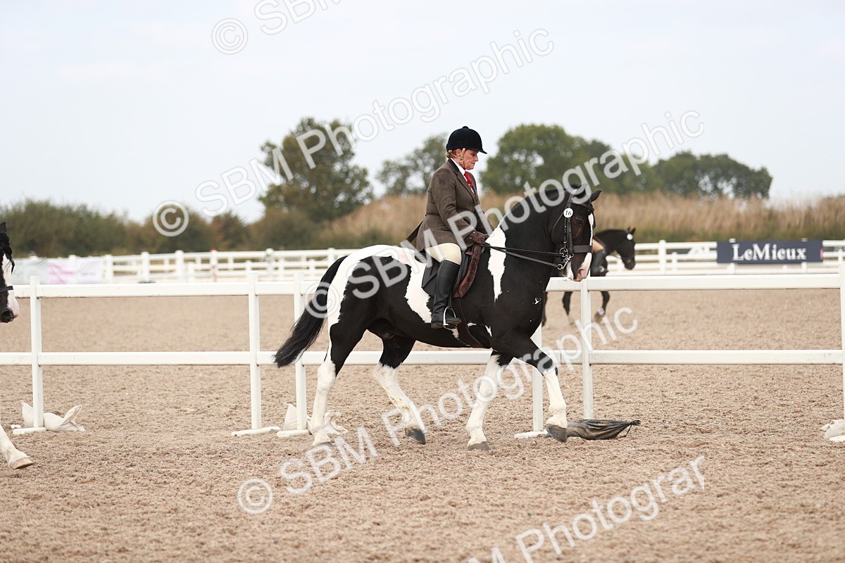 SBM_16656 - Class 214 Ridden Cob