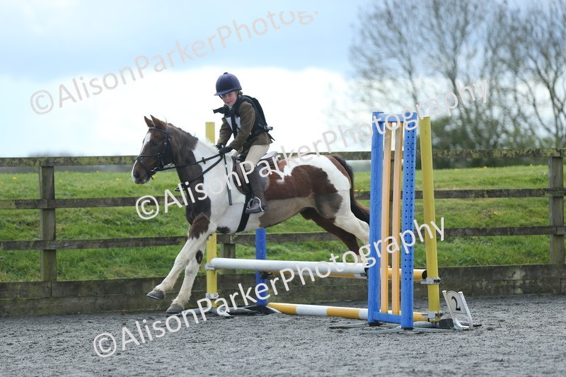 20260412-1723 - Show Jumping