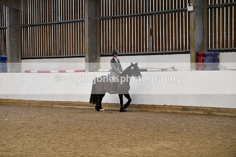 WJ5_7694 - Class 13 Ridden Part Breed
