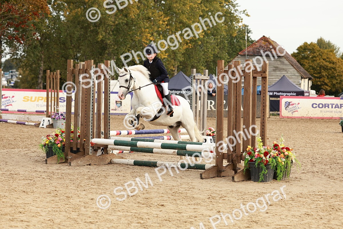 SBM_55767 - J11 - Junior Pony 50cm Championship