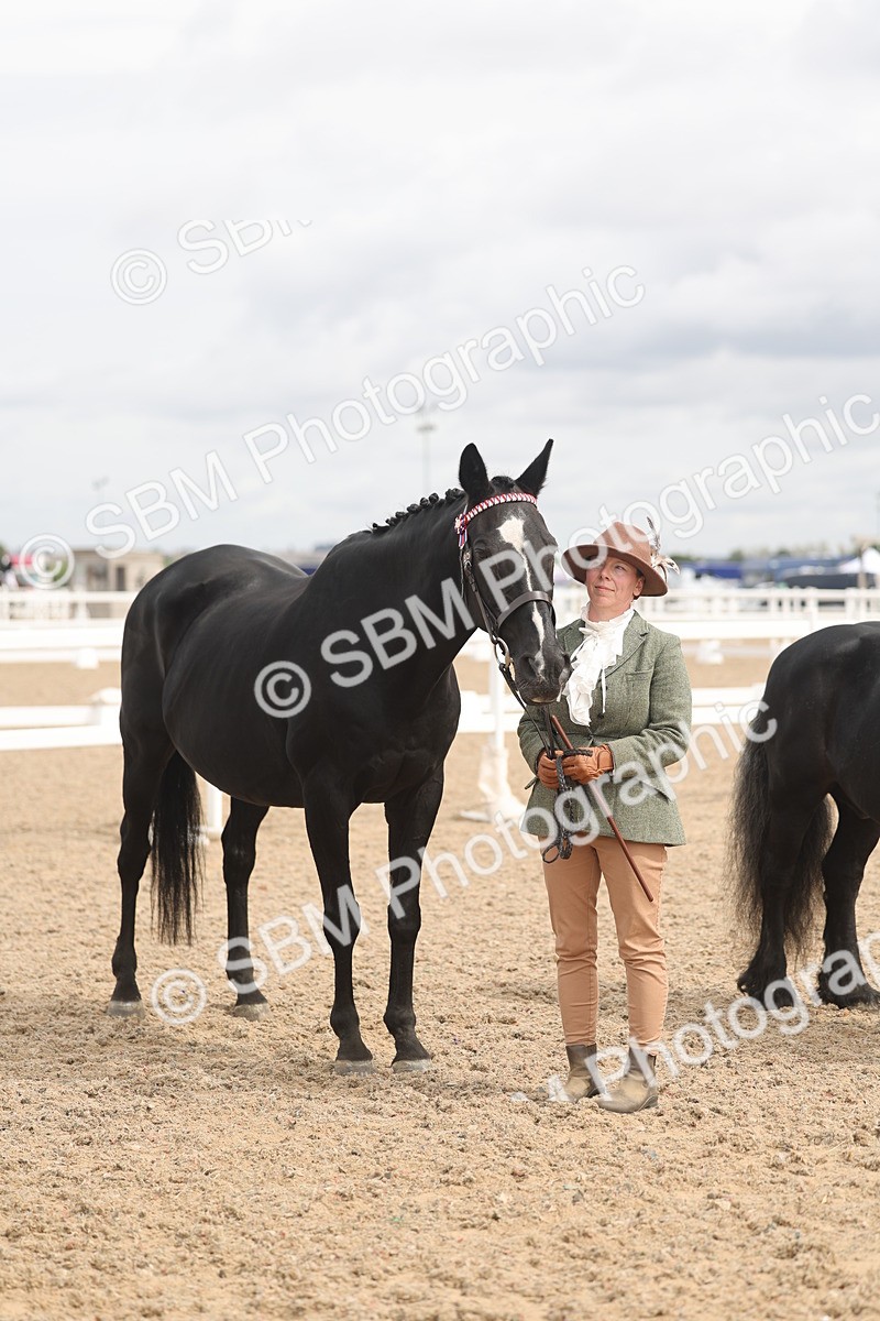 SBM_05026 - Class 20 - IH Veteran