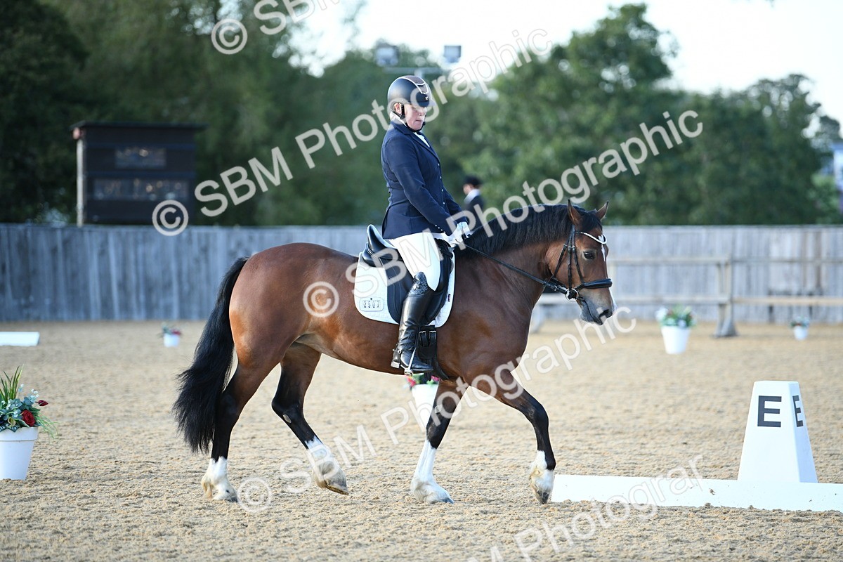 SBM_30939 - D16 - Small Tour Championship - Novice 28