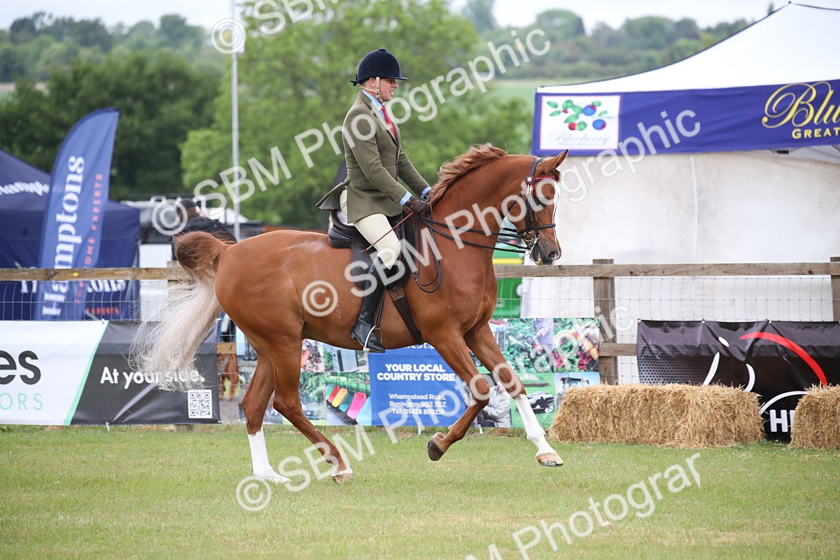 SBM_03607 - Class 21 - 22 - Ridden Arab and Part Bred/Anglo Arab