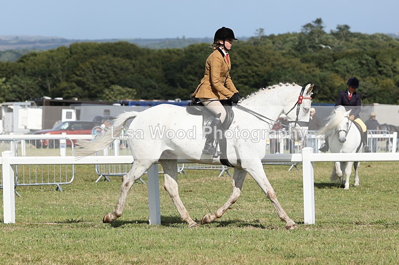 JPP_2874 - Class 20: Working Hunter 70cm