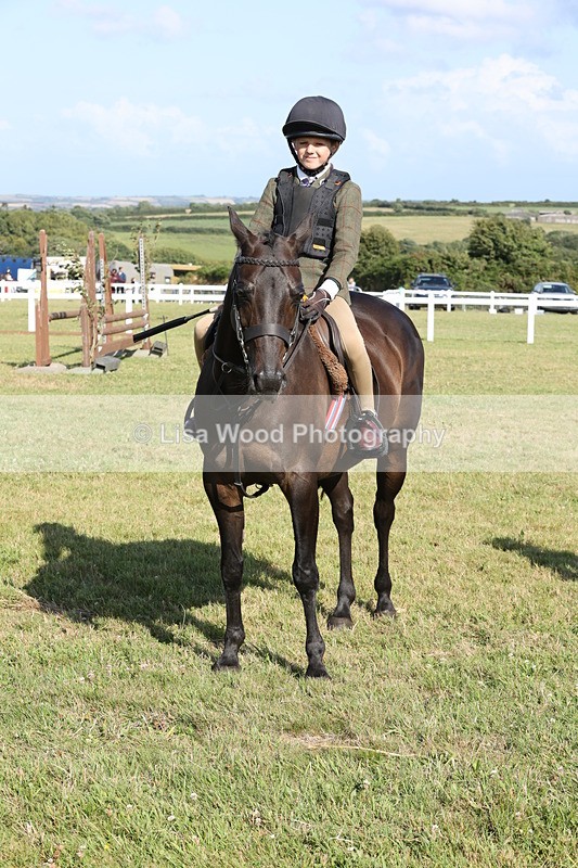 JPP_3052 - Class 20: Working Hunter 70cm