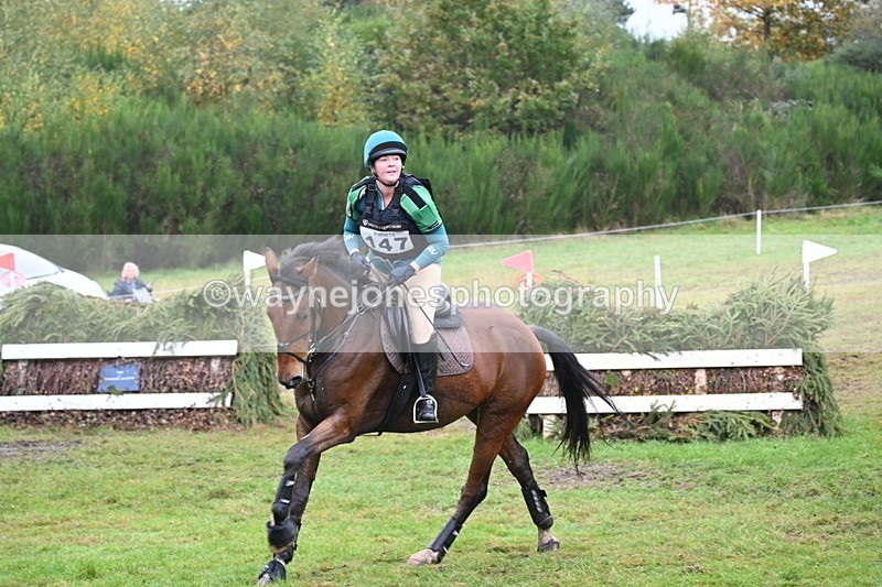 WJ6_2410 - 80cm Cam 1 Time 11:23 to 12:04