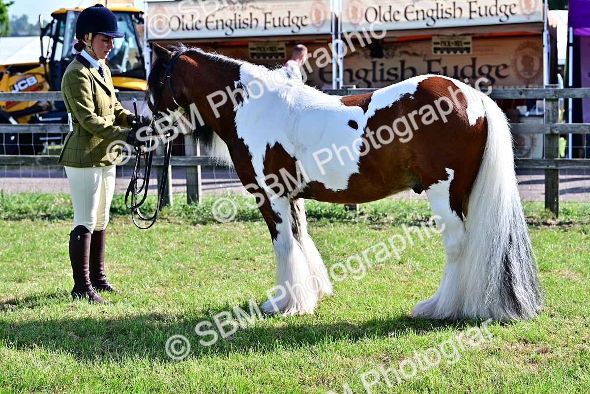 SBM_11696