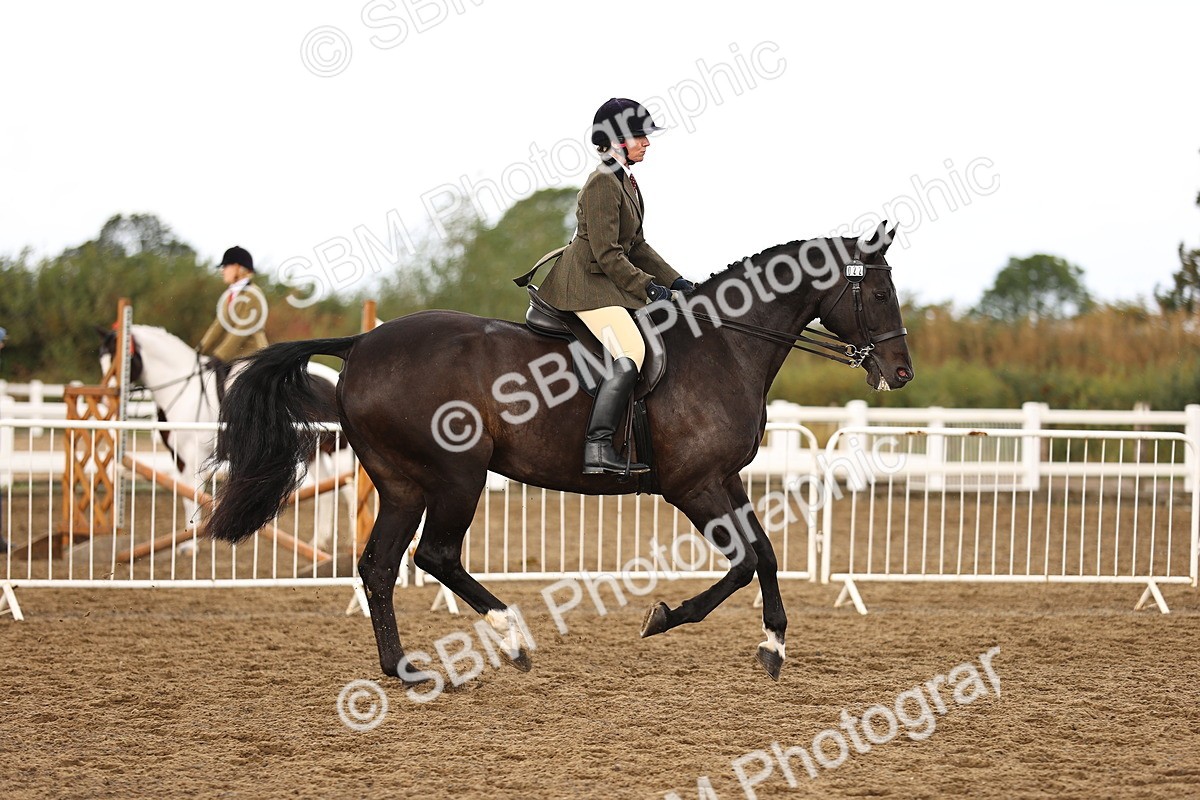 SBM_00679 - Class 53 - Ridden Competition Horse Pony