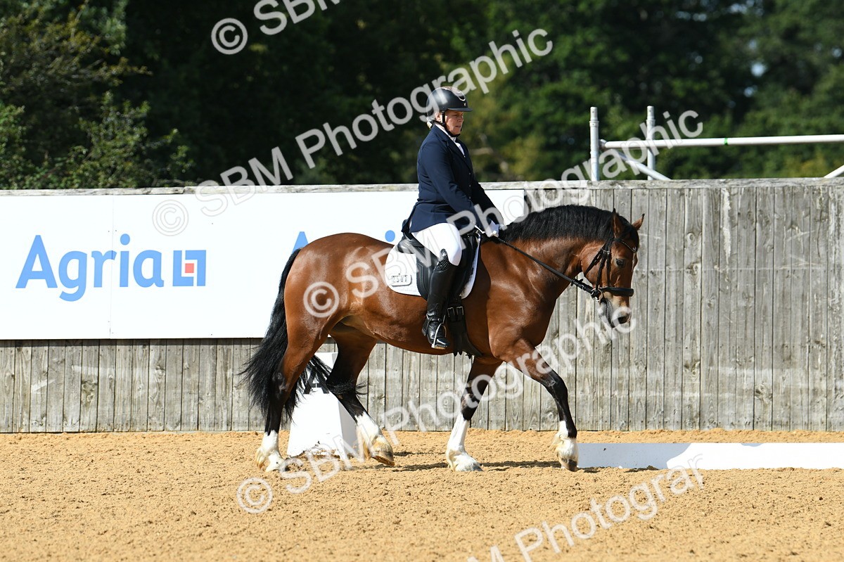 SBM_03158 - D7 Small Tour Championship Prelim 1