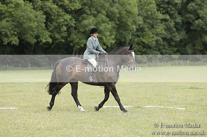 BVR160717-1395 - Class 3 Dressage 16/07/17
