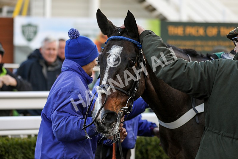 281223-Race 3-Guillaume-3346 - Race 3