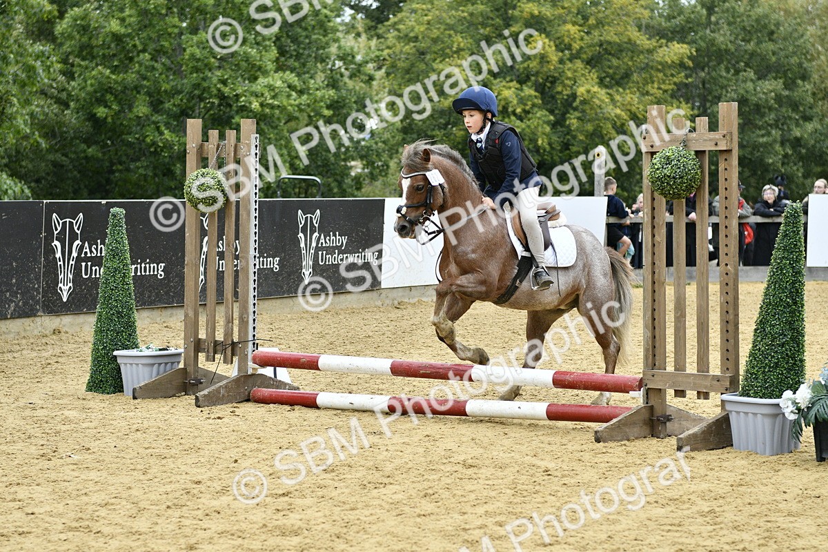 SBM_68008 - J2b - Mini Tour Junior Pony 30cm championship