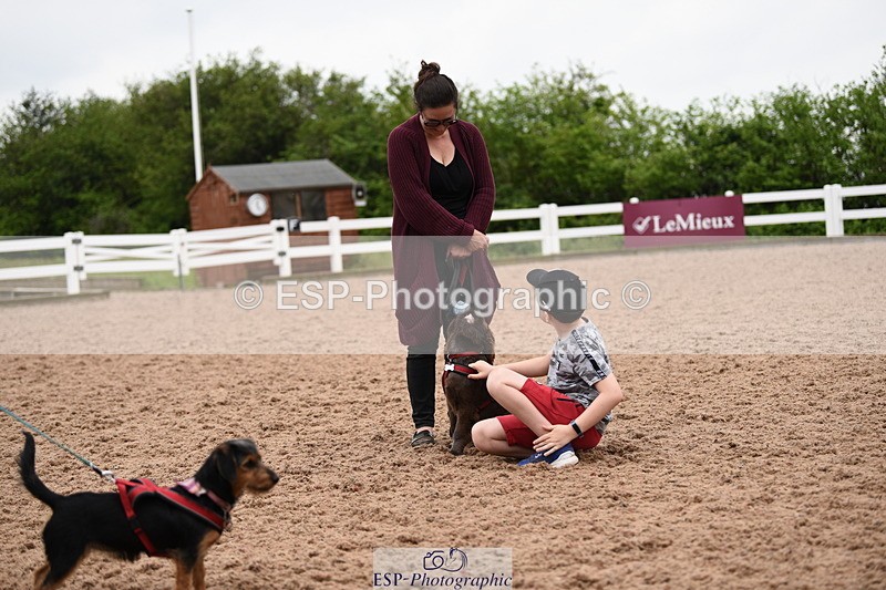 240518A-122438-01159 - Cls 4 Best Crossbred