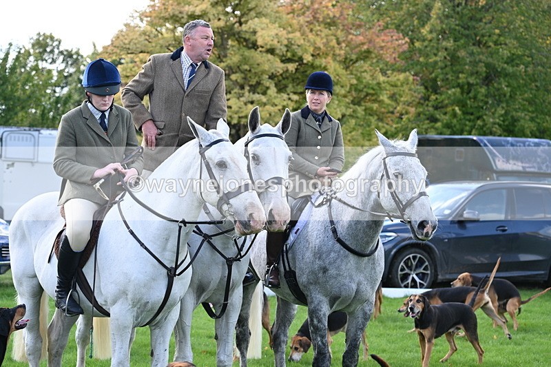 WJ7_5435 - Meet