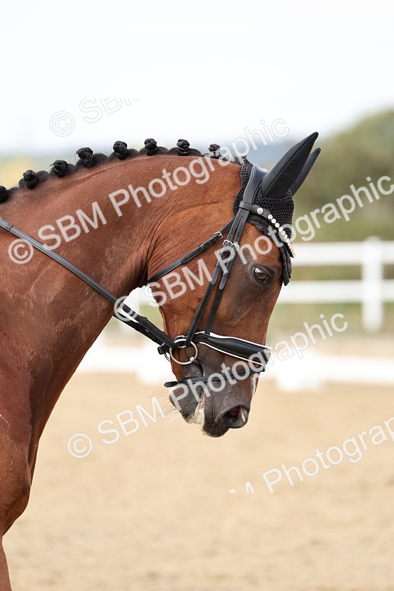 SBM_019544 - Class 18 - Elementary 5