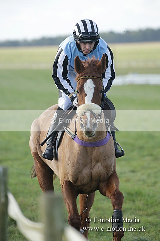PtP 011219-0128 - Hursley Hambledon Hunt Point-to-Point 01/12/19