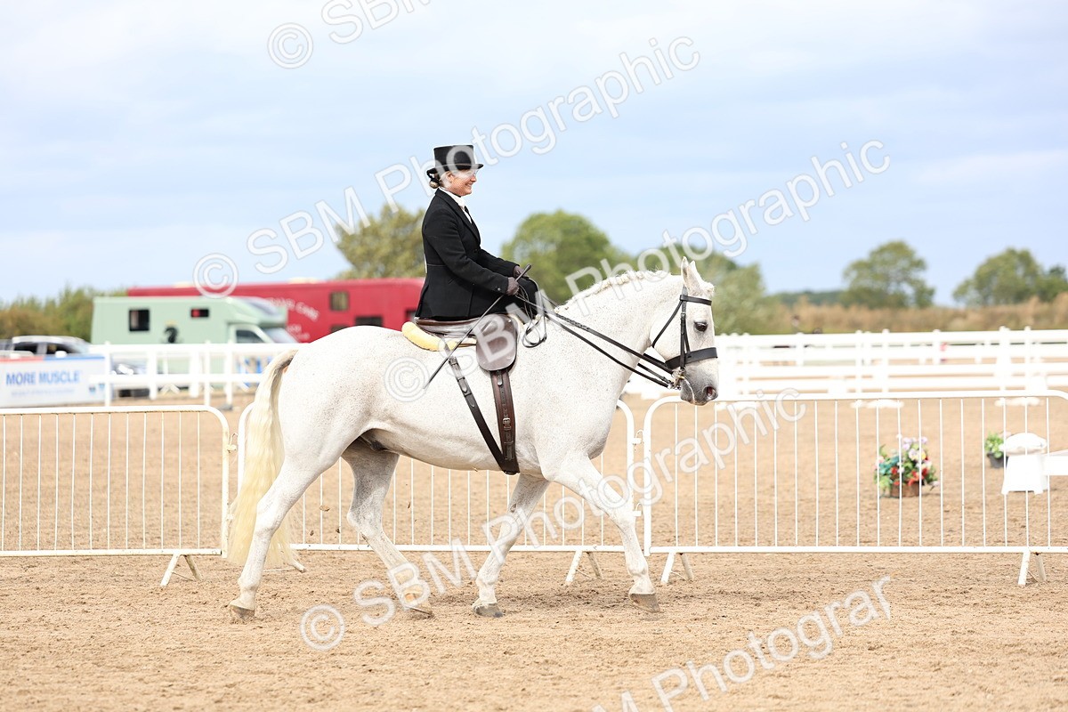 SBM_03400 - Class 24 - SSA Concours d'elegance (any age)