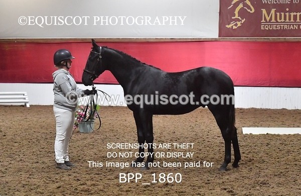 BPP_1860 - AFTERNOON 12.30 - 3.30PM