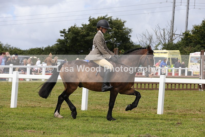 1X9A4077 - Class 32: Show Hunter Pony 153cm and under