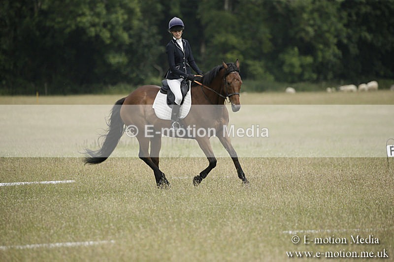 B230619-0402 - Bourne Valley Riding Club Summer Show 23/06/19