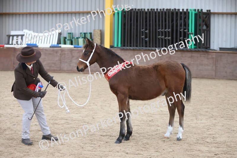 20251109-1175 - Championship