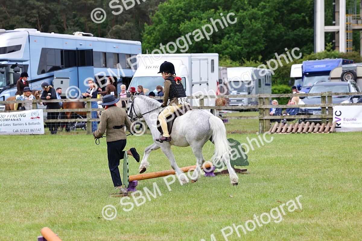 SBM_08211 - Class 42-43 - LIHS BSPS Heritage Working Sports Pony
