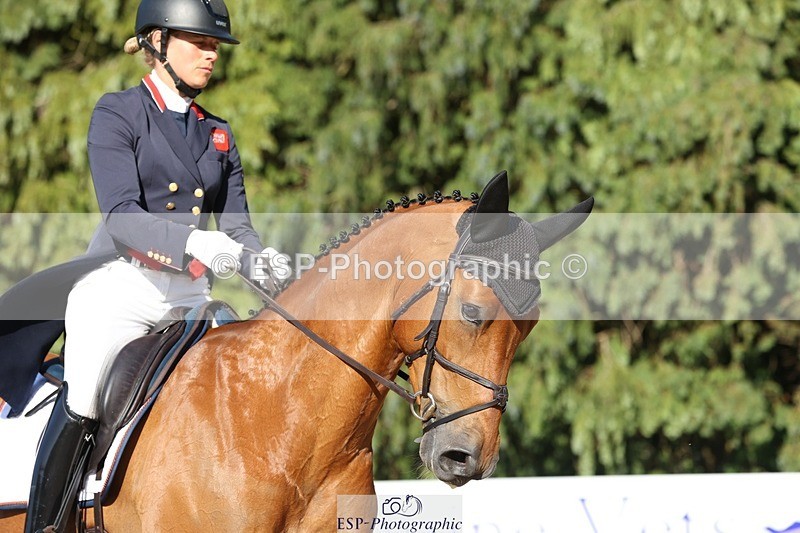 230526-175332-08054 - 182-HARTHILL_FLAMENCO-Izzy_Taylor-WEDTrotUp+DR