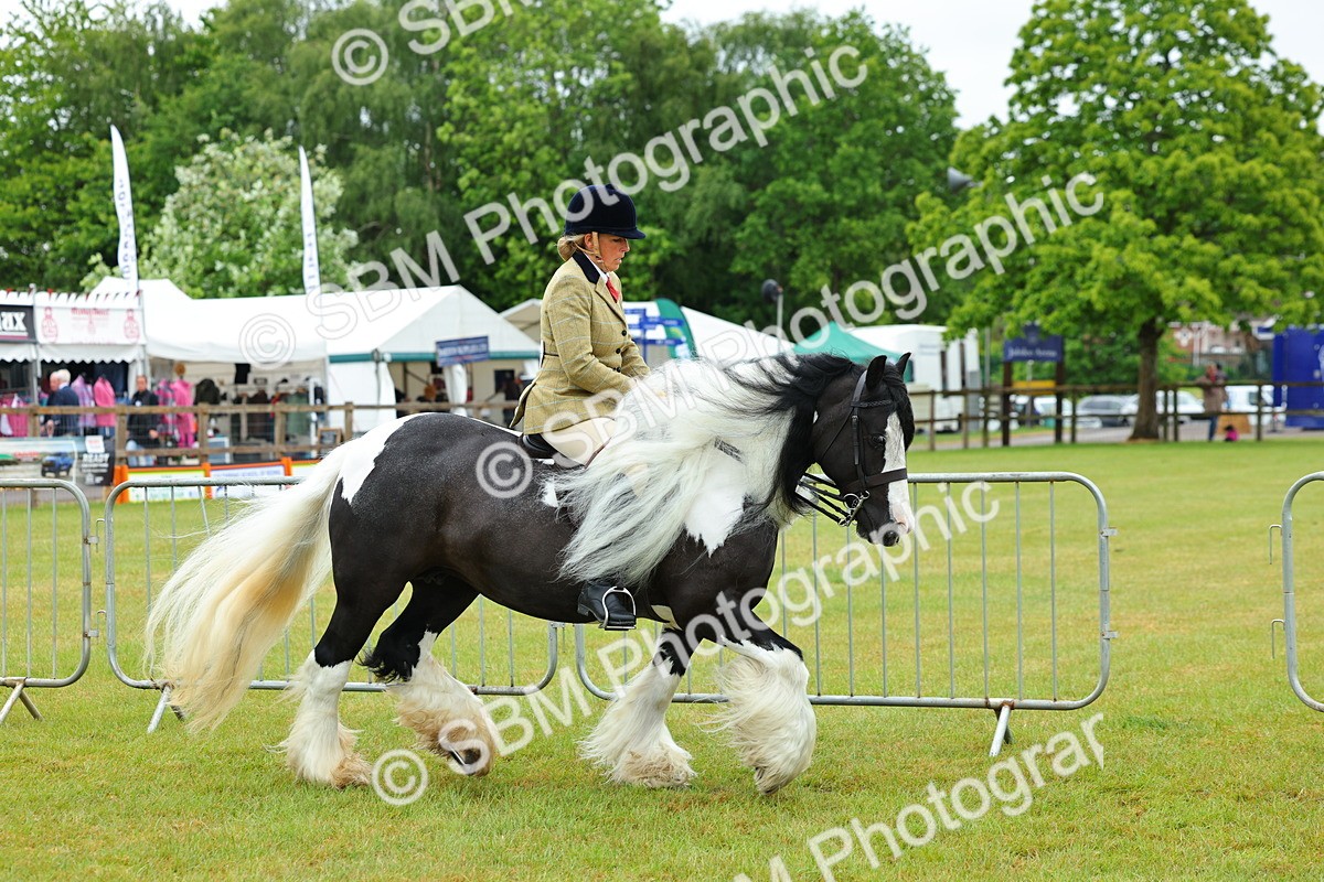 SBM_01142 - Class 1-4 - BSPA Ridden