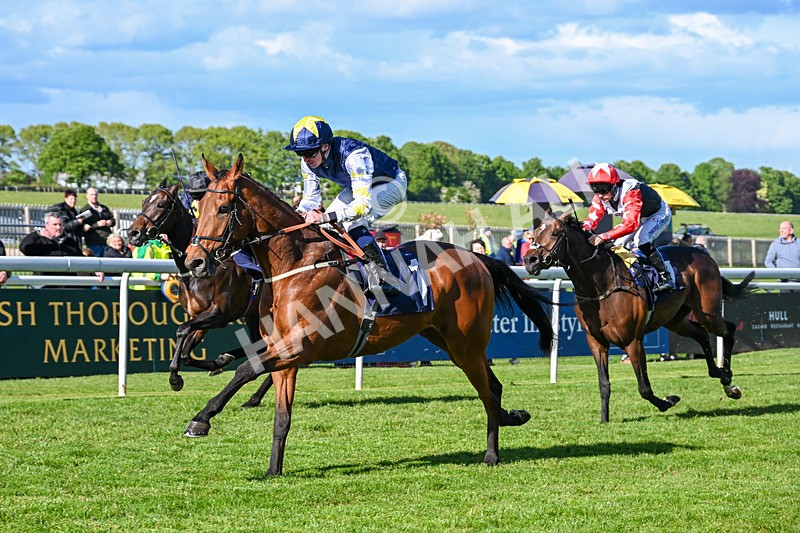 120526-Race 6-Ciao Capo-9236 - Race 6 5.10pm Racing Welfare Supporting Mental Health Handicap