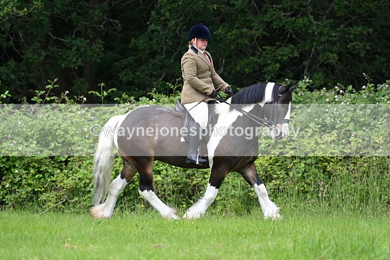 WJ7_2325 - Class 12A Coloured Class