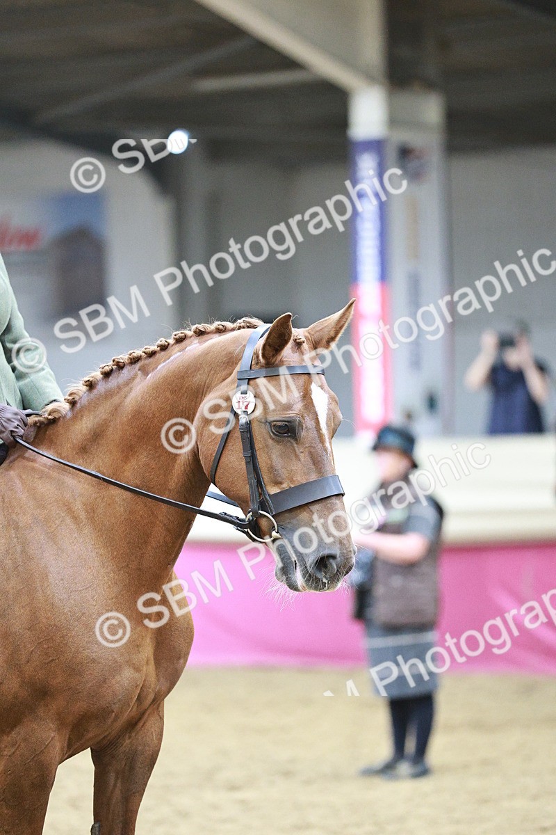 SBM_03384 - Class 6A Area Ridden Pre-Vet