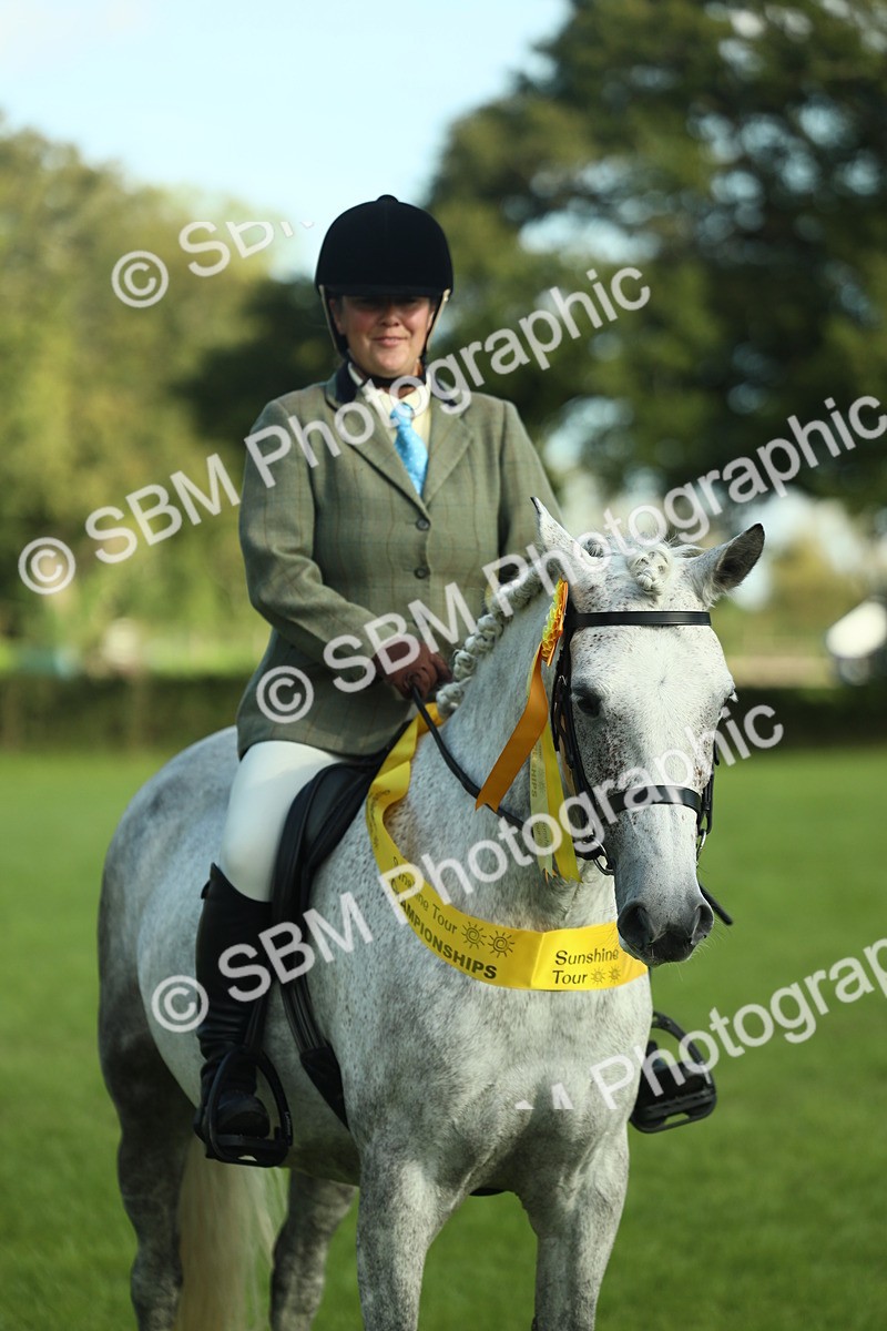 SBM_49917 - S32 - Novice & Newcomers Working Hunter