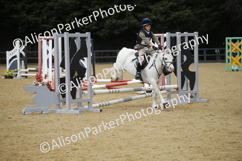 20250622-3974 - 50cm