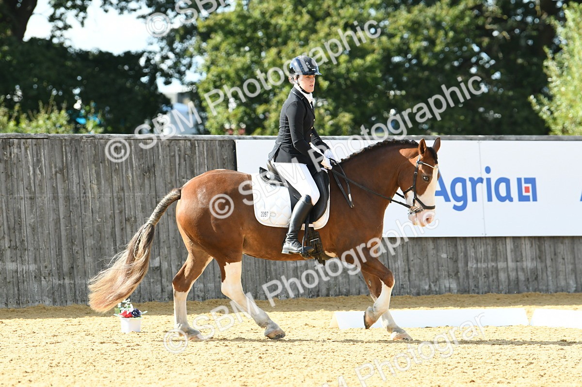 SBM_27100 - D16 - Small Tour Championship - Novice 28