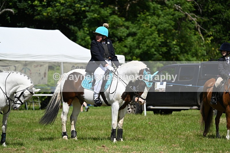 WJ7_1742 - Class 9 Pony Club Pony