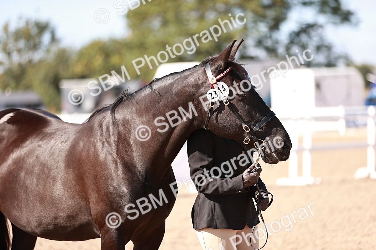 SBM_22892 - Class 706 - IH Veteran