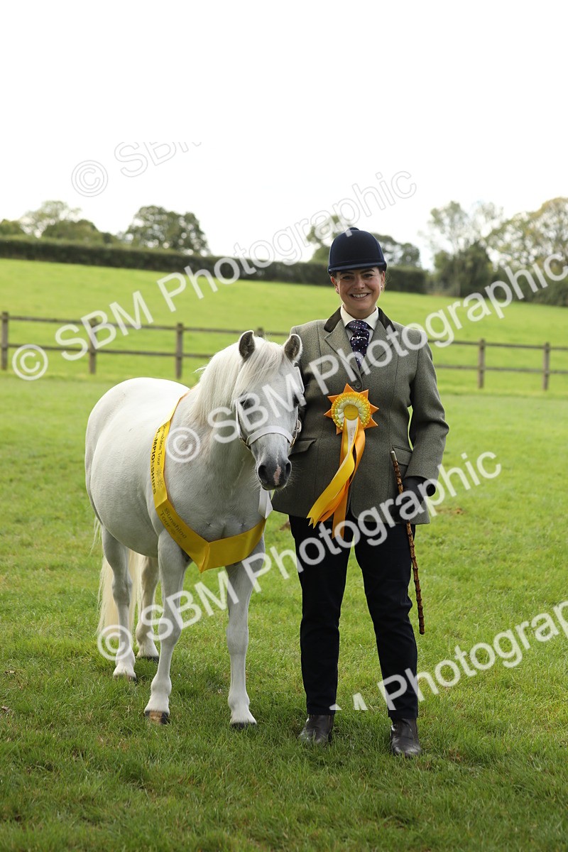 SBM_62841 - S46 - Mountain & Moorland In Hand Small Breeds