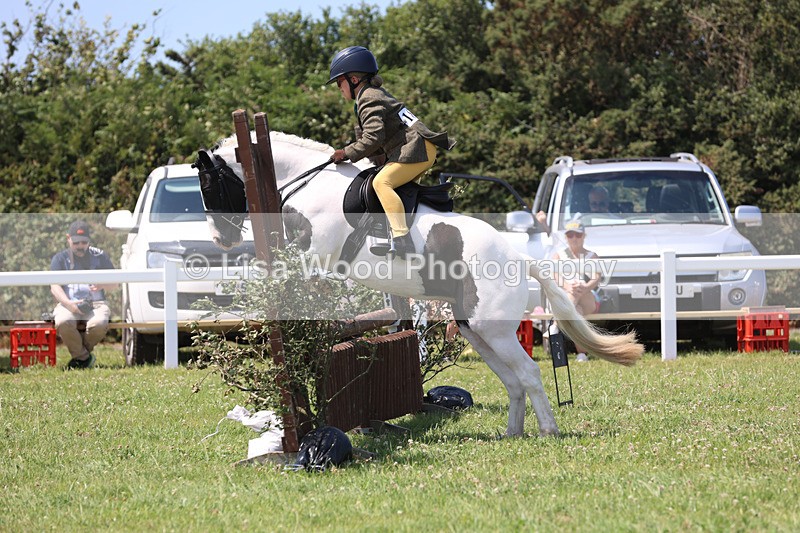 JPP_3095 - Class 22: Working Hunter 70cm