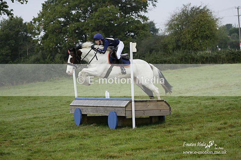 WWHT 171021 0215 - Novice Restricted (0.80m)  17/10/21